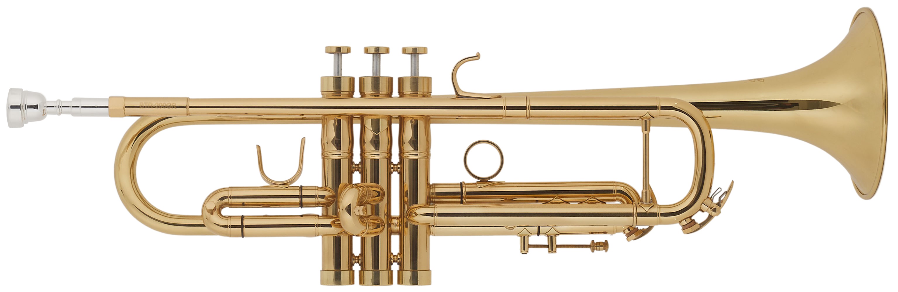 Obrázok Bacio Instruments BTR-200GR