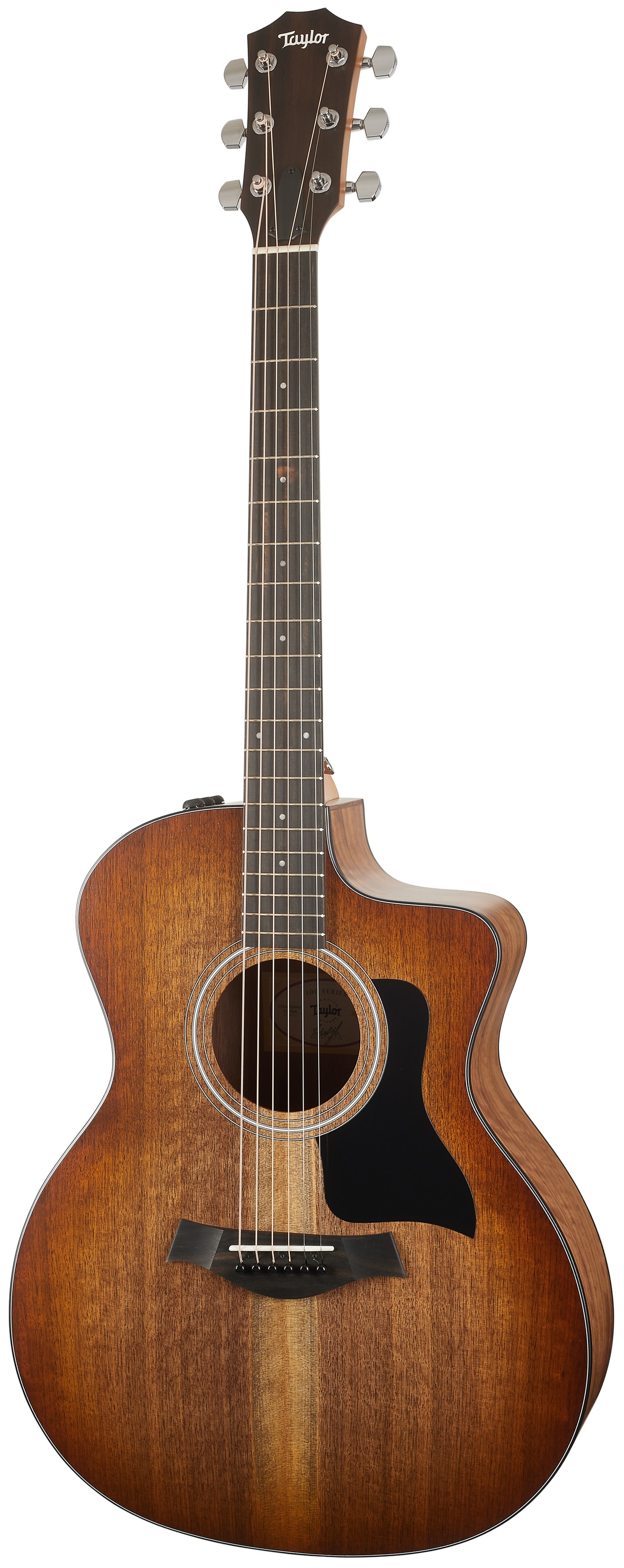 Obrázok Taylor 124ce Walnut SEB Special Edition